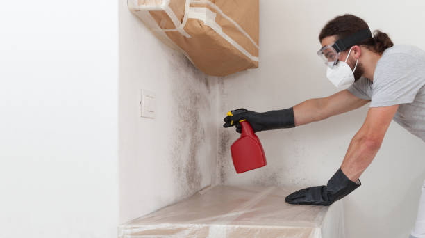Professional Bathroom Mold Removal technician working in Mcdaniel, MD